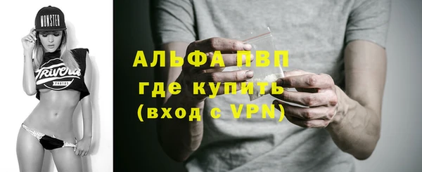 хмурый Абаза