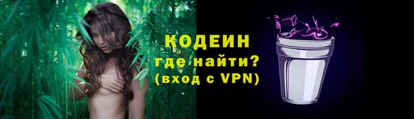 хмурый Абаза