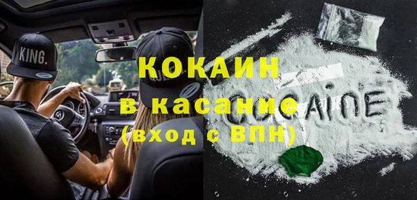 хмурый Абаза