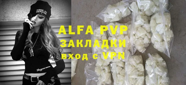 хмурый Абаза
