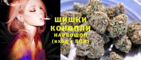 хмурый Абаза